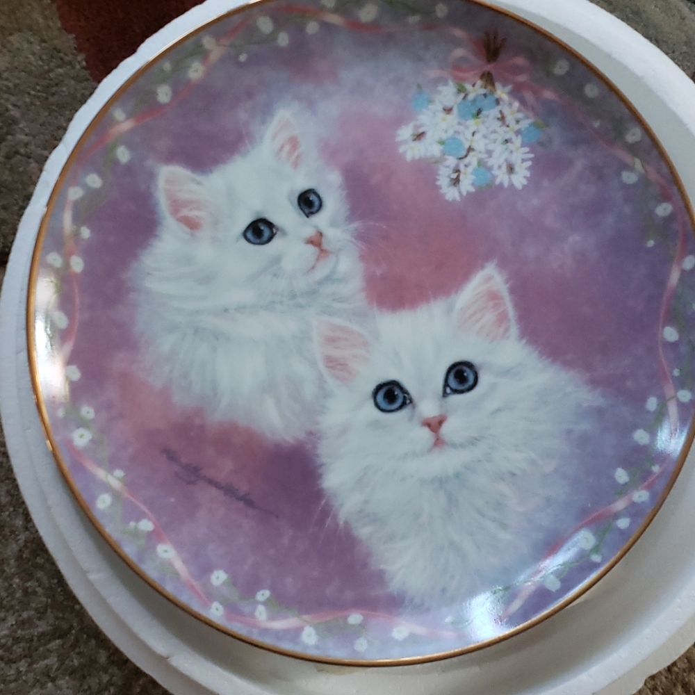Collector plate